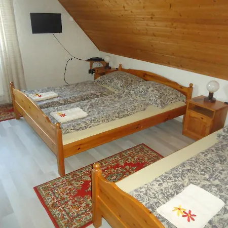 Deutsches Haus Πανσιόν Szabadkígyós