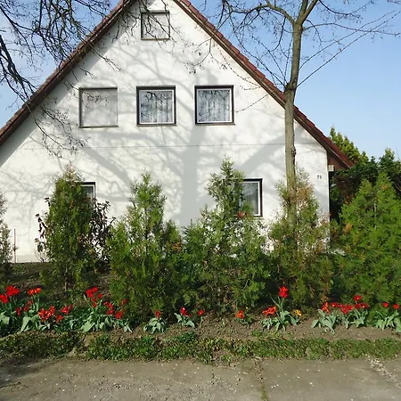 Deutsches Haus Szabadkígyós