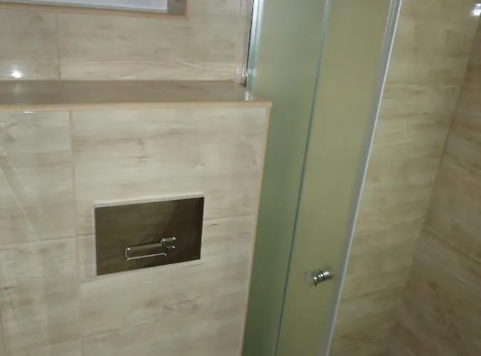 Pensiune Deutsches Haus 4*